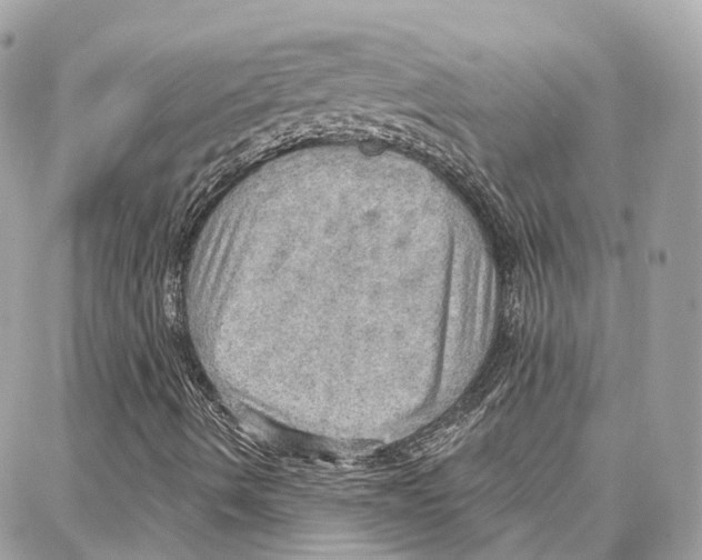 X0000087741490200706041023