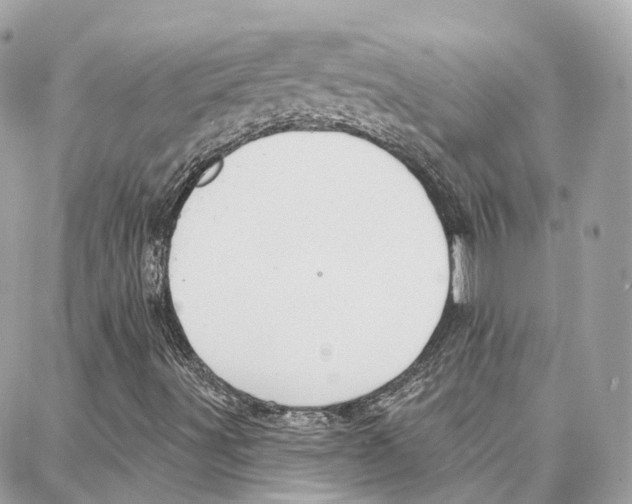 X0000087741491200706041023