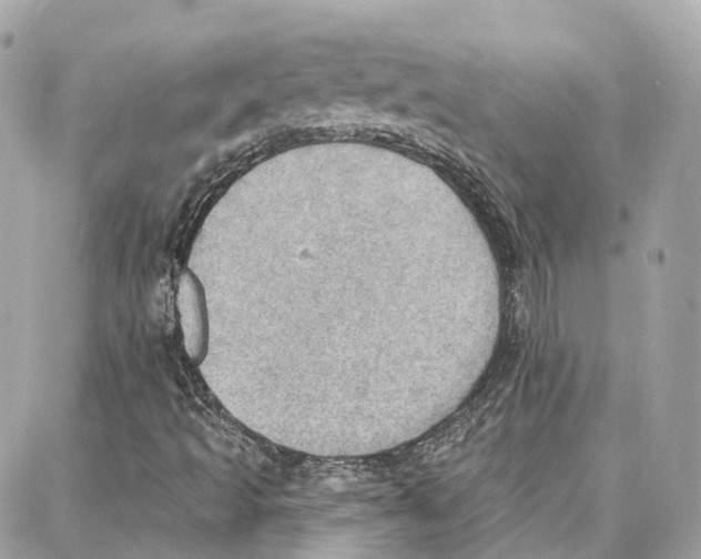 X0000087741493200706041023