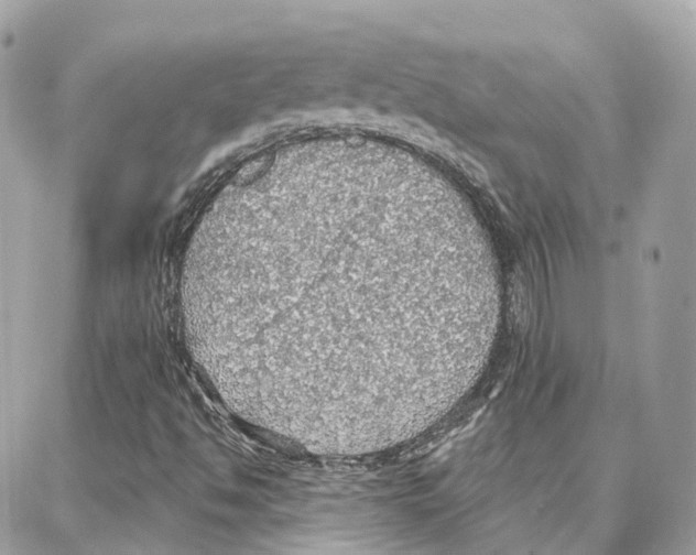 X0000087741494200706041023