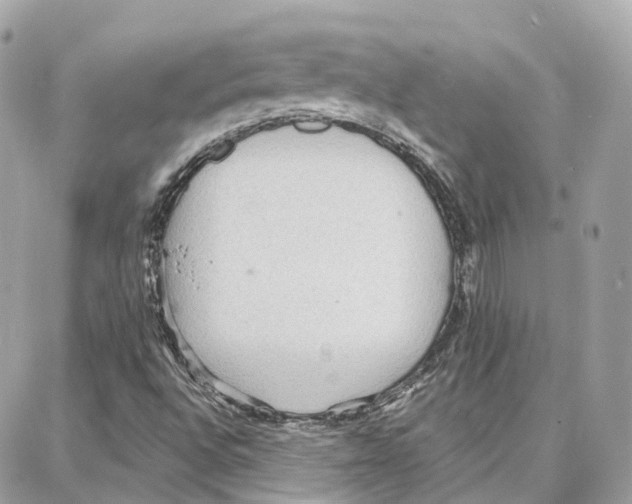 X0000087741496200706041023