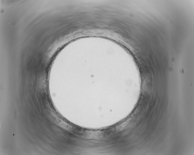 X0000087741498200706041023