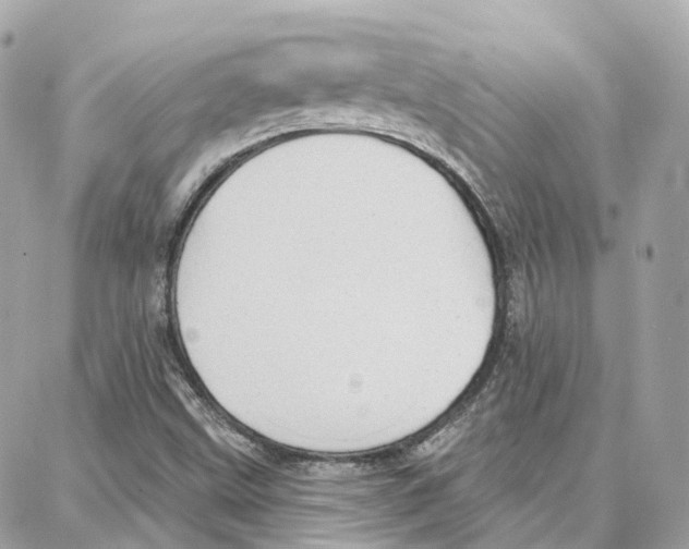 X0000087741499200706041023