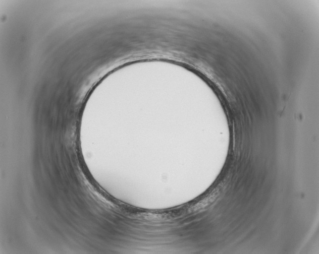 X0000087741500200706041024