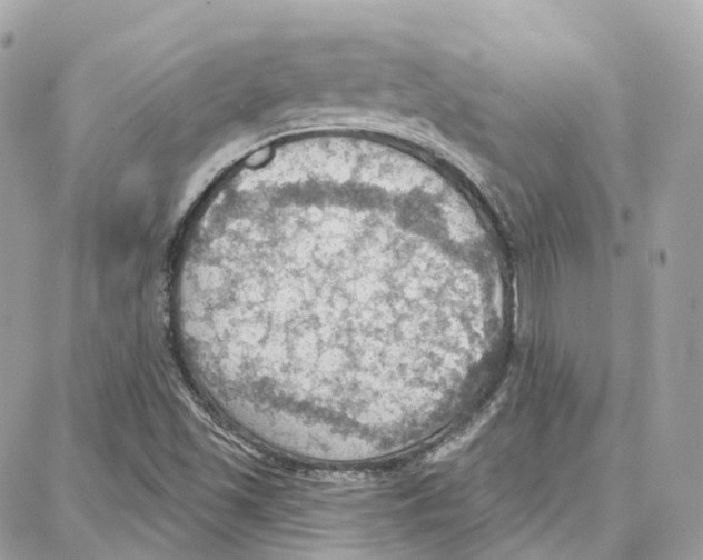 X0000087741501200706041024