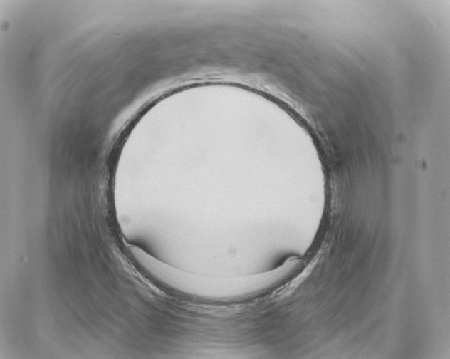 X0000087741502200706041024