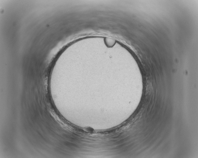 X0000087741503200706041024