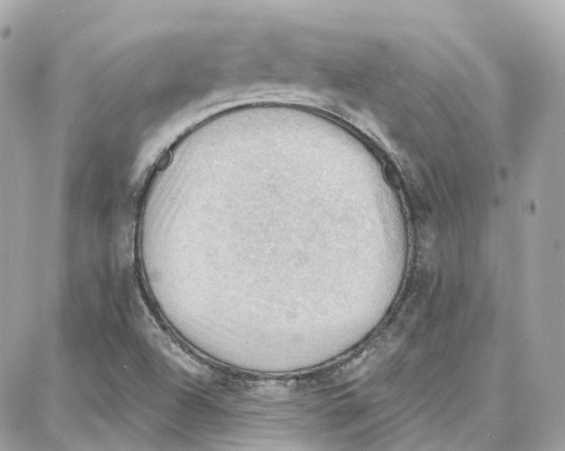 X0000087741504200706041024