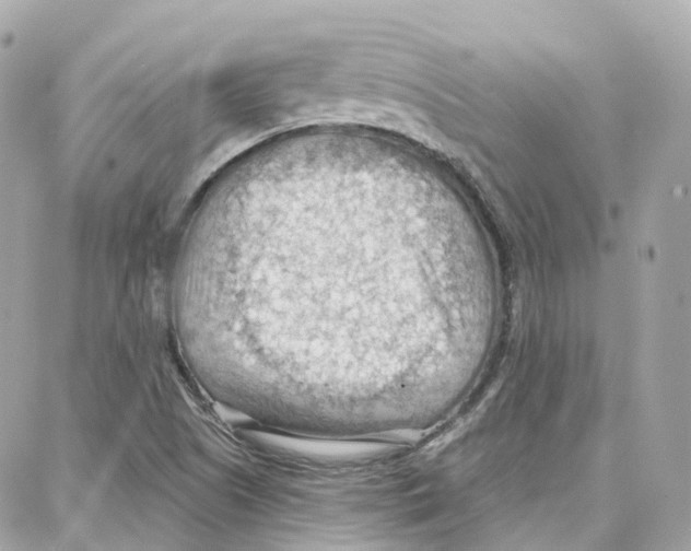 X0000087741505200706041024