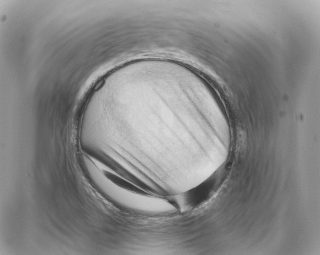 X0000087741506200706041024