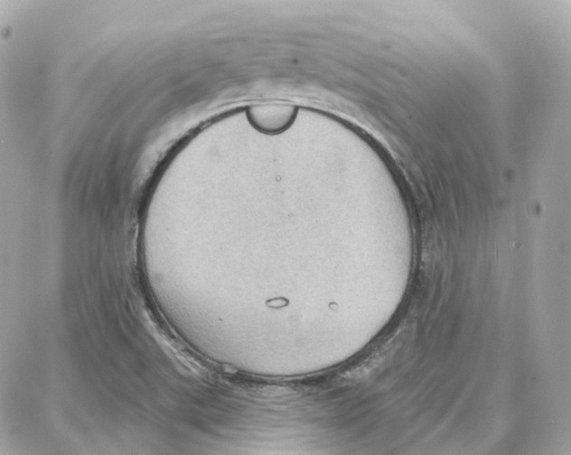 X0000087741507200706041024