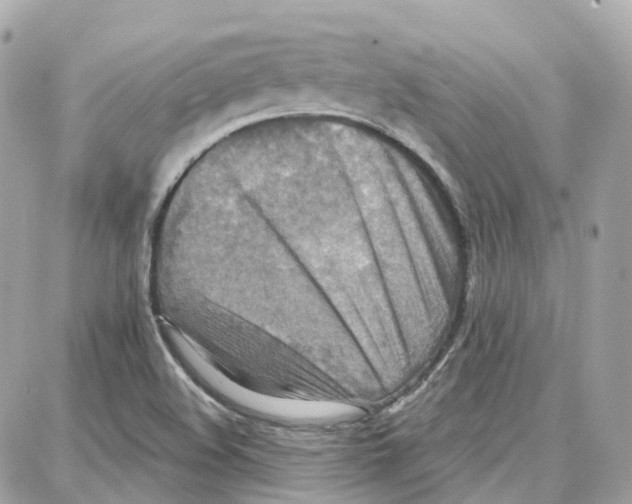 X0000087741508200706041024