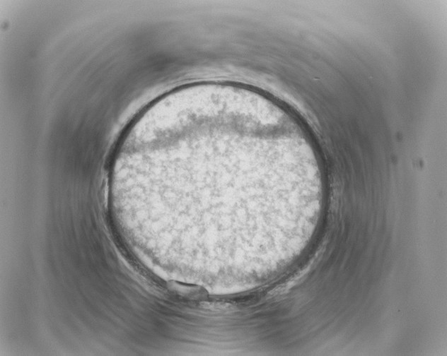 X0000087741509200706041024