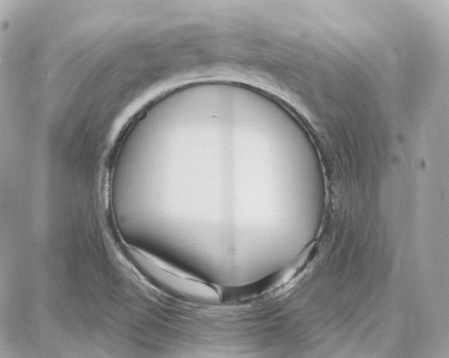 X0000087741510200706041024