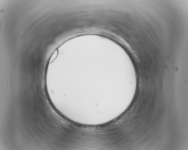 X0000087741512200706041024