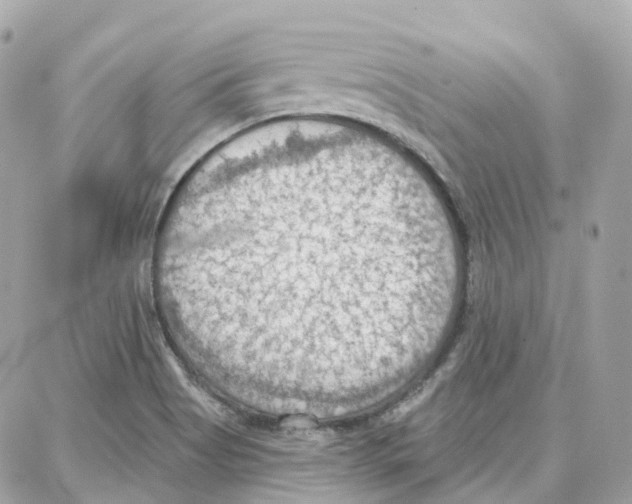 X0000087741513200706041024