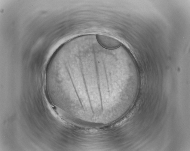 X0000087741515200706041024