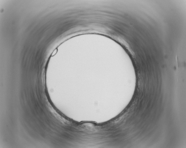 X0000087741516200706041024