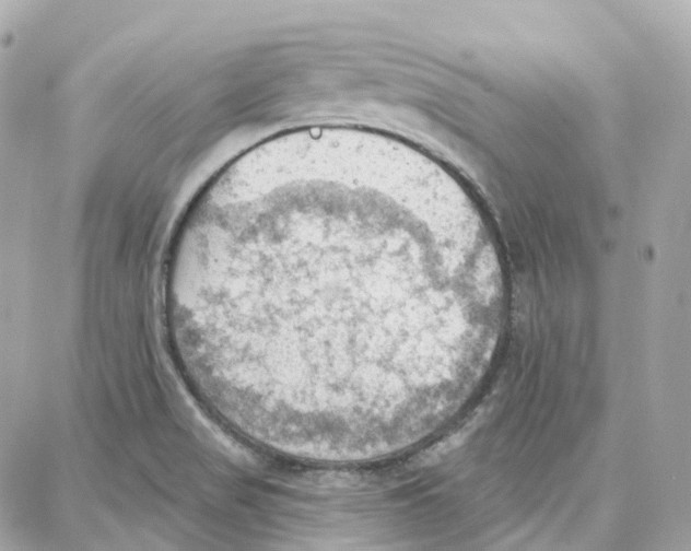 X0000087741517200706041024