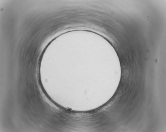 X0000087741518200706041024