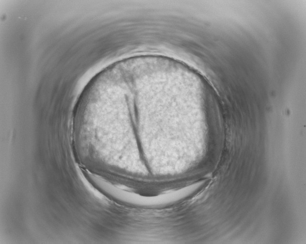 X0000087741519200706041024