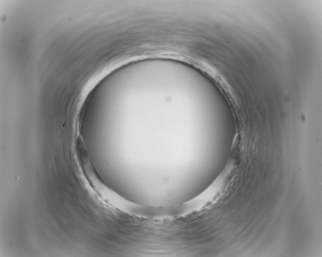 X0000087741520200706041024