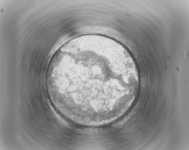 X0000087741521200706041024