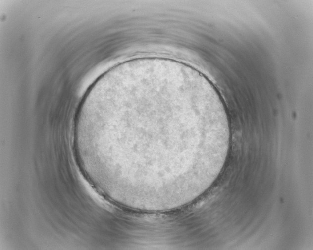 X0000087741523200706041024