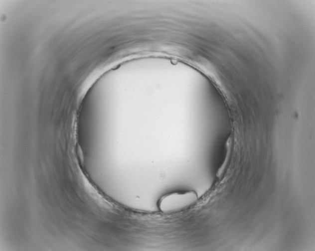 X0000087741524200706041024