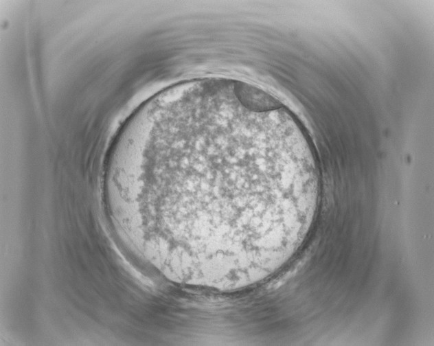 X0000087741525200706041024