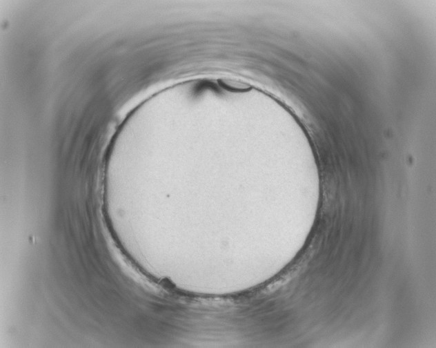 X0000087741526200706041024