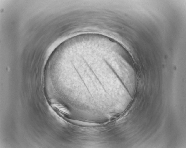 X0000087741527200706041024