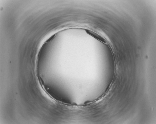 X0000087741528200706041024