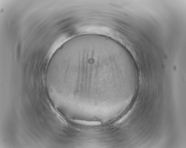 X0000087741529200706041024