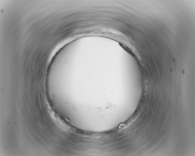 X0000087741530200706041024