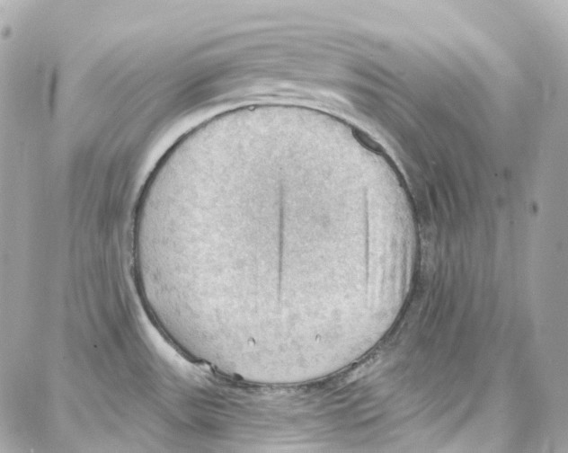 X0000087741531200706041024