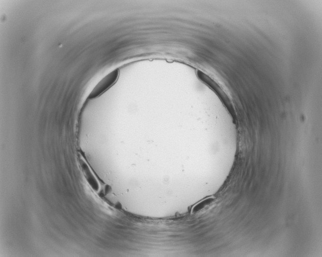 X0000087741532200706041024