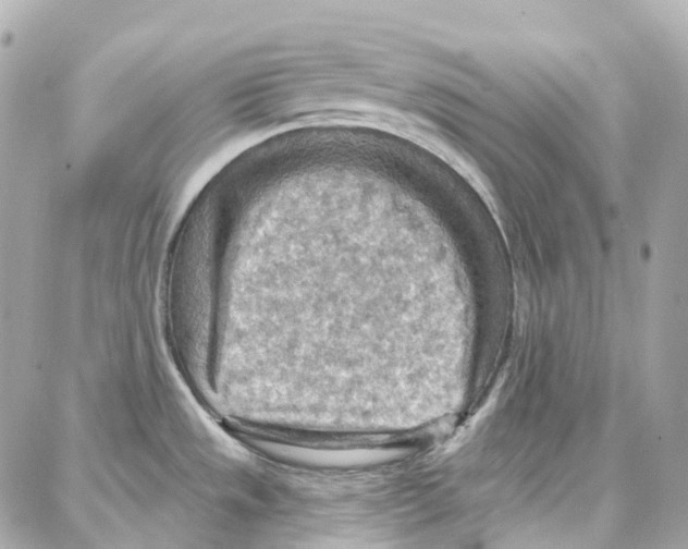 X0000087741533200706041024