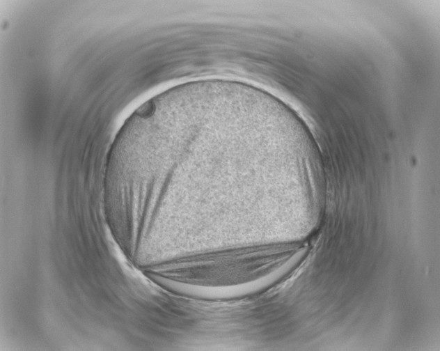 X0000087741534200706041024