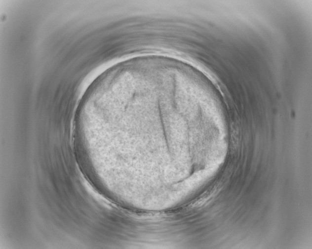 X0000087741535200706041024