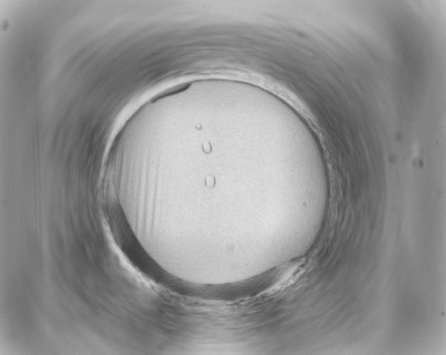 X0000087741536200706041024