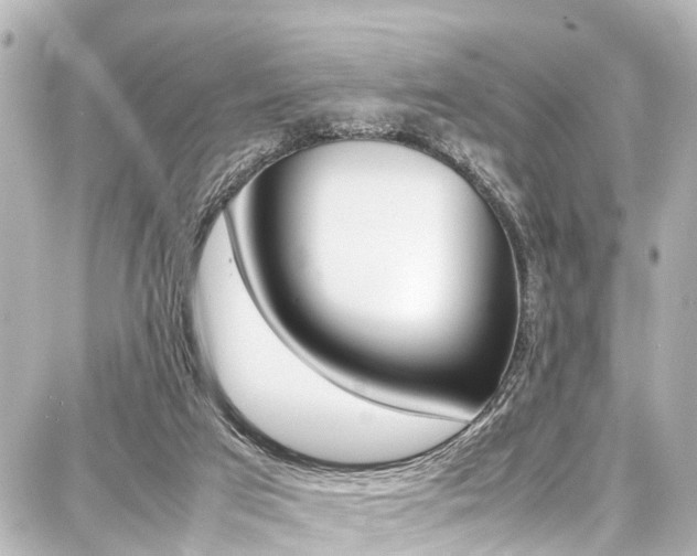 X0000087750017200705071003