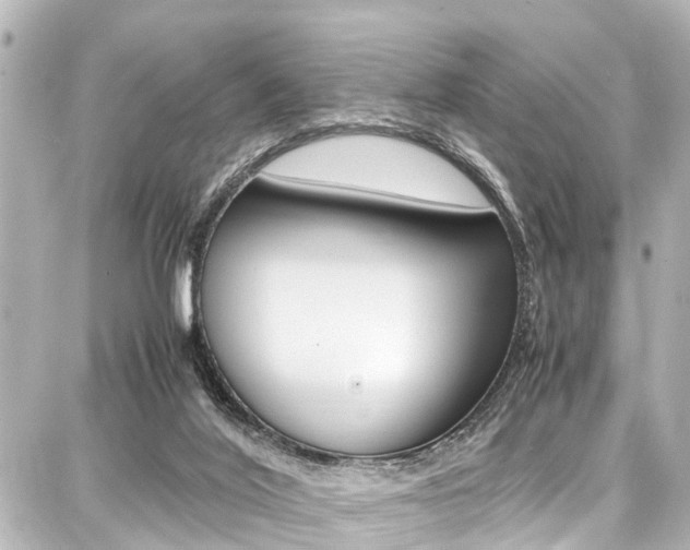 X0000087750020200705071003