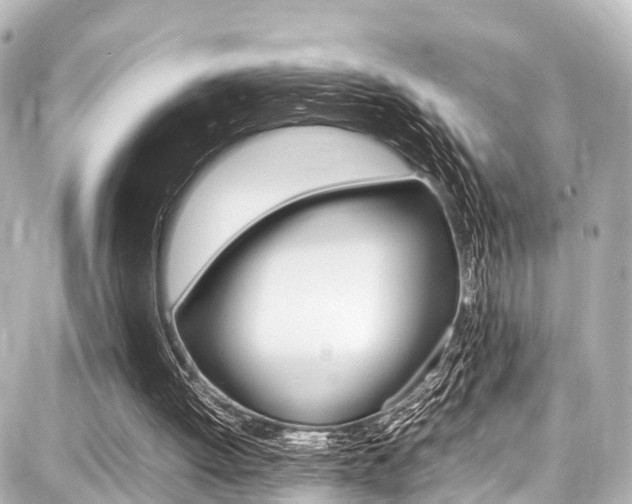 X0000087750052200705071001