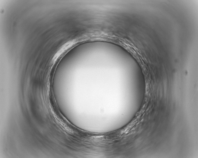 X0000087750054200705071001