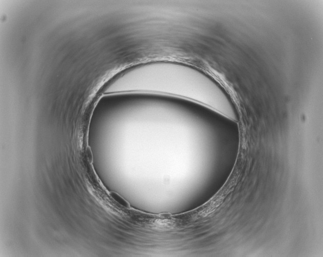 X0000087750060200705071001