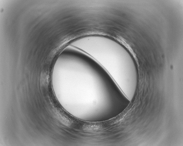 X0000087750063200705071002