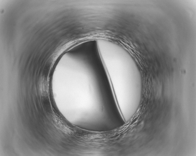 X0000087750100200705071001