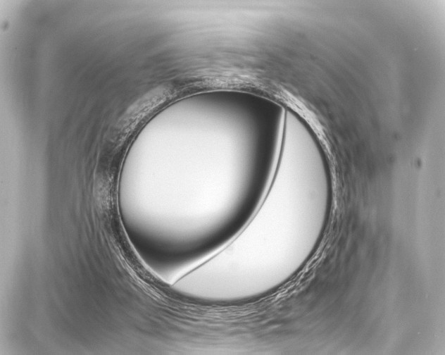 X0000087750105200705071001