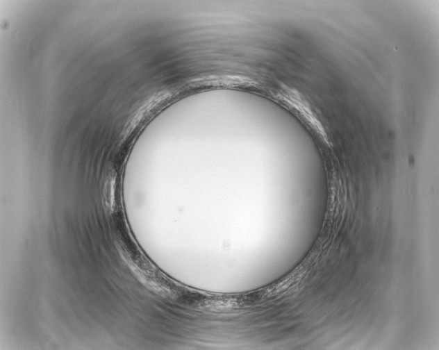 X0000087750110200705071001